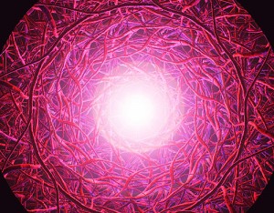 Strangeloop Fields