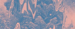 Ital: Hive Mind