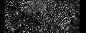 John Talabot: ƒin