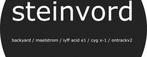 Steinvord