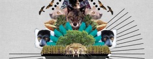 Stitch-Presents-Inverted-Audio-Louche